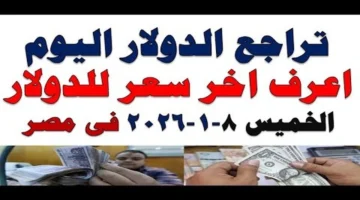 تحديثات المساء.. سعر اليورو مقابل الجنيه في البنوك المصرية بختام تعاملات الخميس